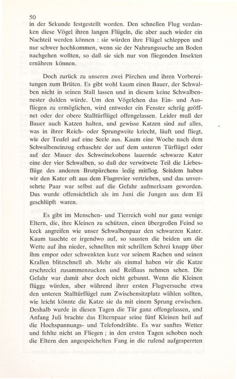 imgoehltal06-51