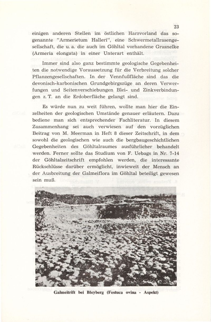 imgoehltal15-24