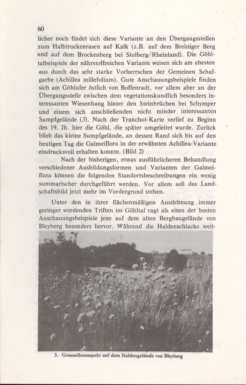 imgoehltal19-61