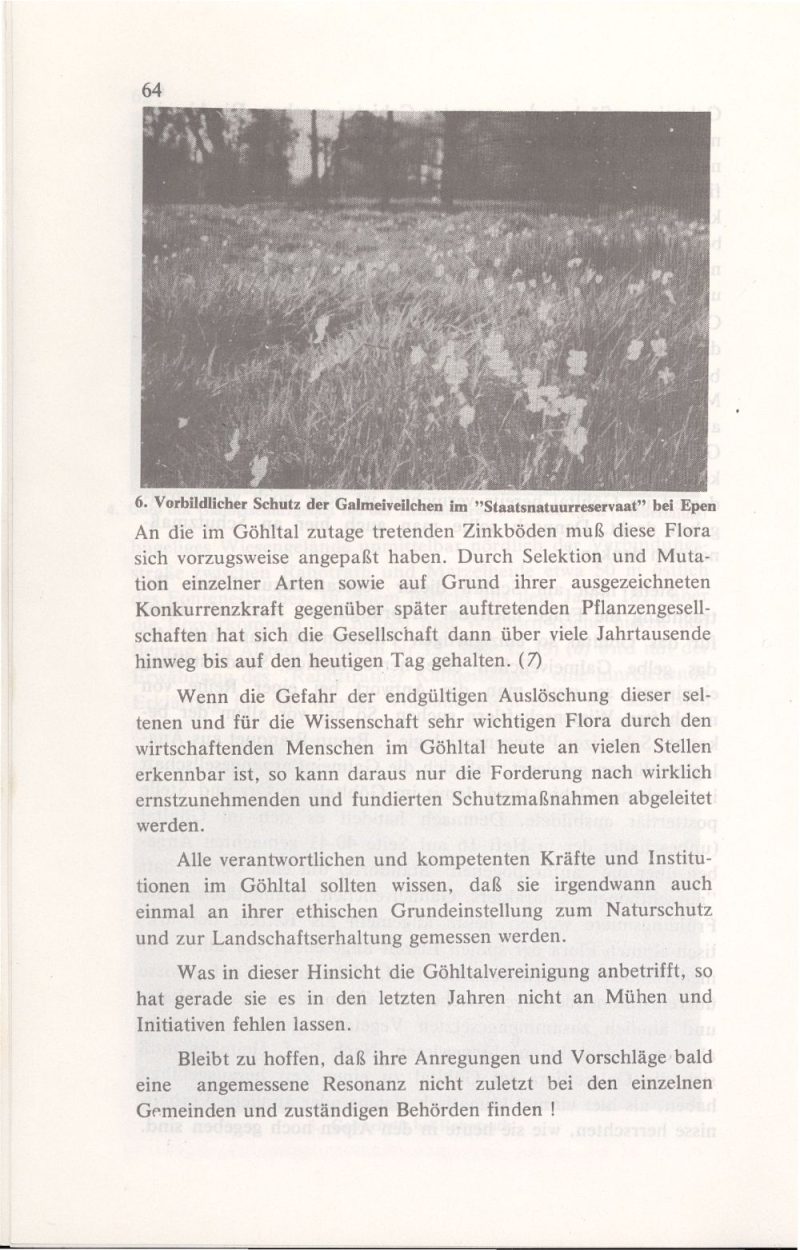 imgoehltal19-65